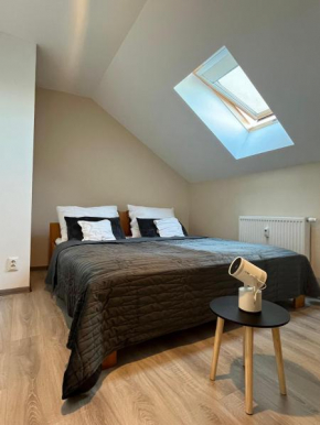 Tranquille Inn - Schaeffler Business Travellers - 10 Minutes from your Office
